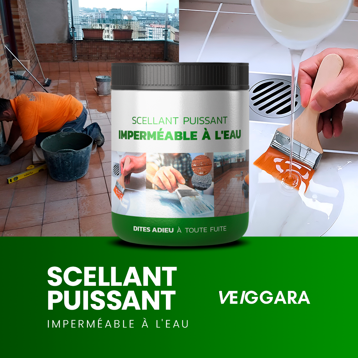VEIGGARA | Powerful waterproof sealant