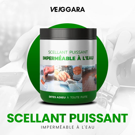 VEIGGARA | Powerful waterproof sealant