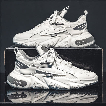VEIGGARA| Basket Stellaire